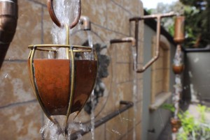 46503266_10155748085232050_4532658267993669632_n